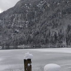 IMG 20170115 133548901